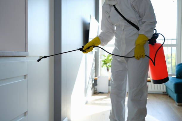 Best Asbestos and Lead Testing During Mold Inspection  in Grosse Pointe Woods, MI